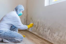 Best Residential Mold Inspection & Testing  in Hunter, OH