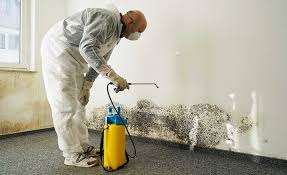 Best Mold Prevention Services  in Hunter, OH