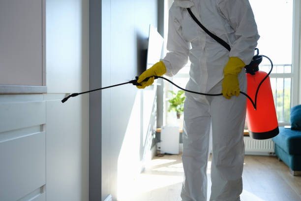 Mold Remediation for Vacation Homes in Hunter, OH